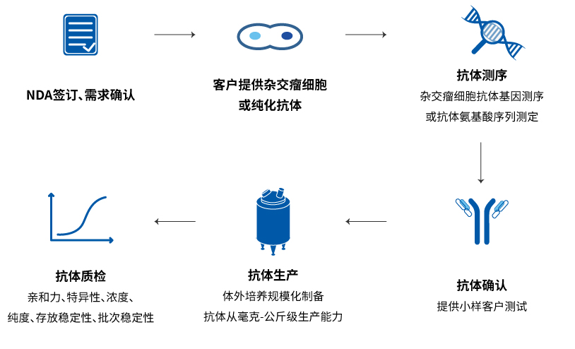 重組抗體定制開發(fā)流程