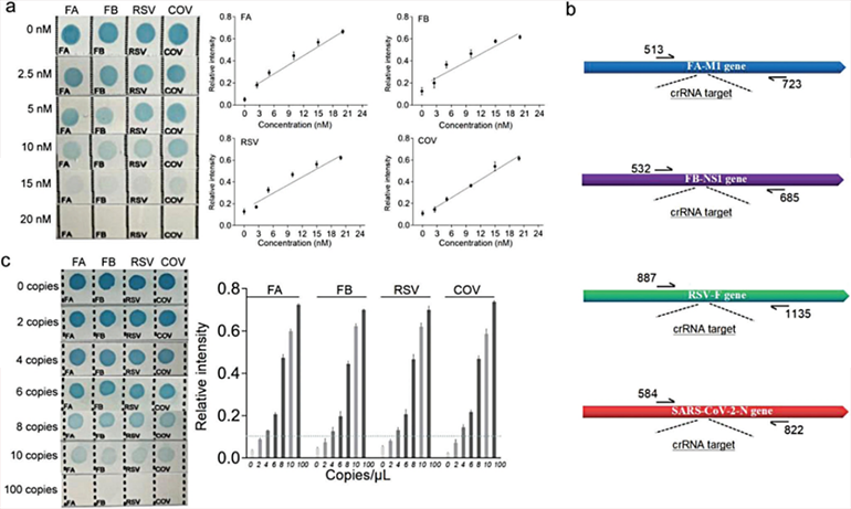 CRISPR-RDB檢測(cè)靈敏度圖